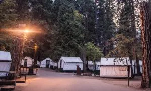 Curry Village - Curry Village