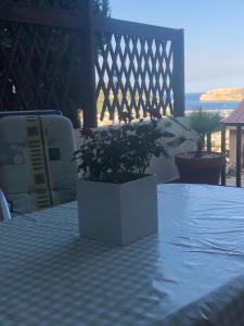Mediterrania 98