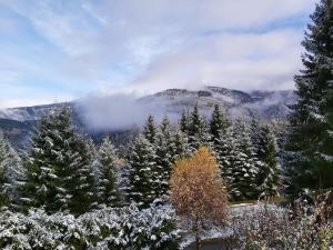 Korlape Apartman 4.2