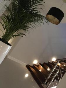 MARZEC Apartamenty