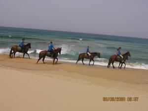 Centro di Turismo Equestre SHANGRILA' img11