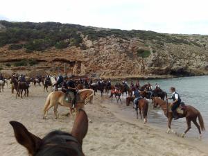 Centro di Turismo Equestre SHANGRILA' img15