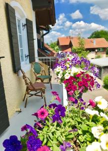 Hotel Garni Goldammer