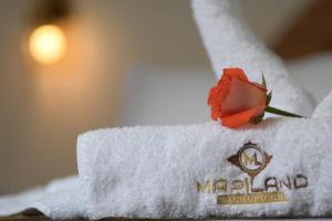 MAPILAND- Hotel Boutique