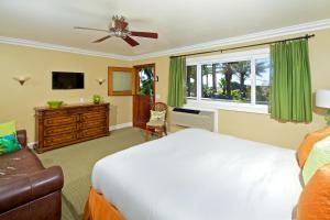 Luxury Mini Suite room in Ocean Palms Beach Resort