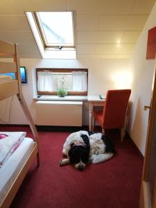 Ferienhof Höhensonne