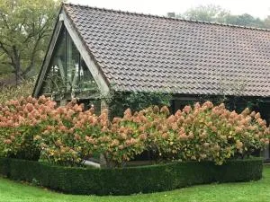 Le porche - 拉讷-沙佩勒圣