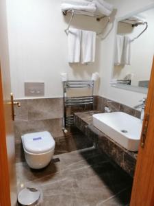 Double Room room in Double Comfort Hotel