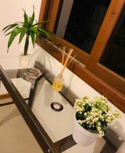 BeMyGuest Floripa