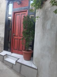 Magical forest House in the center of old City