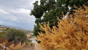 Danaes little secret Aegina Greece