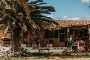 Twinfin Surf Camp, Costa Adeje