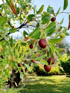 Alexandros Stone House