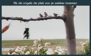 Vakantiewoning Deltahof