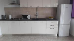Apartment Branka