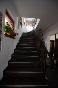 Pension Arena