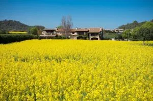 Mas Vermell - Gualta