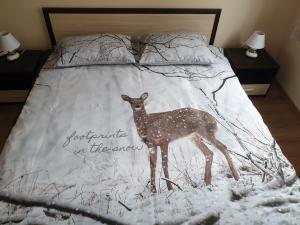 Cosy Apartment - City Centre