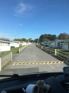 Decorate your own Christmas tree, free mulled wine and hamper