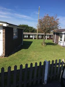 Decorate your own Christmas tree, free mulled wine and hamper