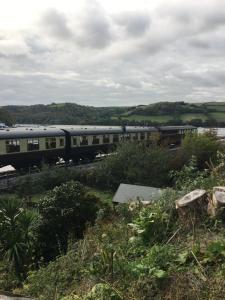 Decorate your own Christmas tree, free mulled wine and hamper