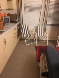 Decorate your own Christmas tree, free mulled wine and hamper