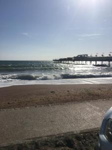 Decorate your own Christmas tree, free mulled wine and hamper