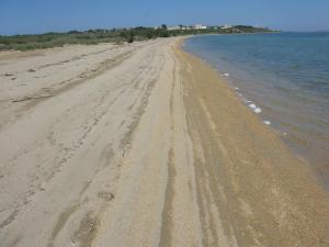 Apartments with private pool near the beach with private parking Hrvoje Nin