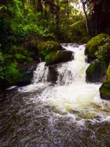 Ranges View Lodge - Aberdare Safari in Muranga