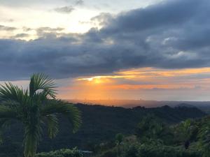 Hawks Nest Bed & Breakfast