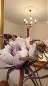 B&B / Chambres d'hotes Petit Chateau : photos des chambres