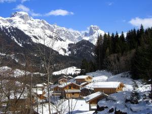 4 hvězdičkový chata Holiday Home Gamsblume Annaberg im Lammertal Rakousko