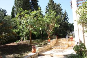 The Old Well Villa Zakynthos Greece