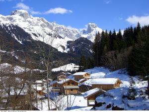 4 stern ferienhaus Holiday Home Gamsblume.12 Annaberg im Lammertal Österreich