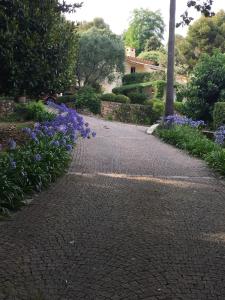 Villas Luxurious sea view villa in Saint Paul de Vence : photos des chambres