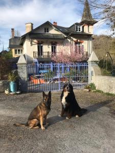 B&B / Chambres d'hotes Petit Chateau : photos des chambres