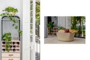 Azul Cordoba By The Local Way