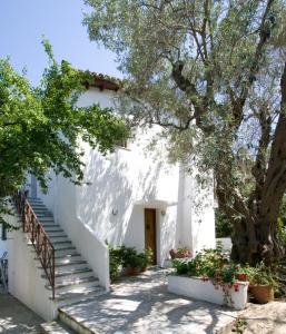 Appartamento Villas Alexandra Skiathos Città di Skiathos Grecia