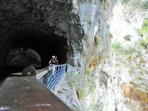 22年最新優惠 藍色貓頭鷹民宿 Blue Owl 花蓮縣住宿推薦 Agoda