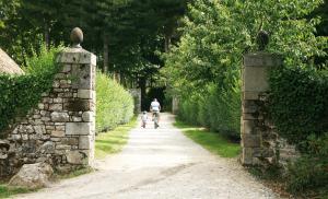 B&B / Chambres d'hotes Insolite dans les arbres Les Ormes, Epiniac : photos des chambres