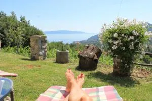 Sea View Apartment with Garden near Opatija - Veprinac