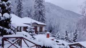 Hotel Tókert Szálloda és Étterem