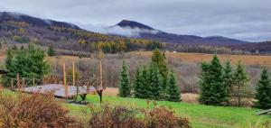 CZERENINA Wetlina 108