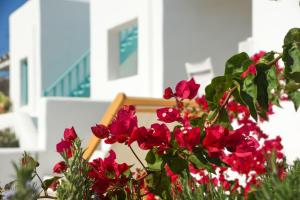 Ploes Seaside Houses Naxos Greece