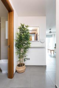 Apartamentos Las Terrazas de Sotavento By Sunkeyrents