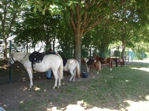 Maisons de vacances au fer a Cheval : photos des chambres