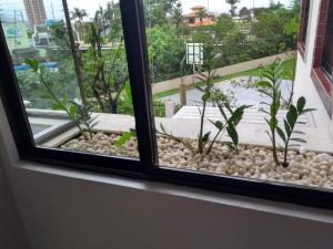 Apto com Jardim na Praia