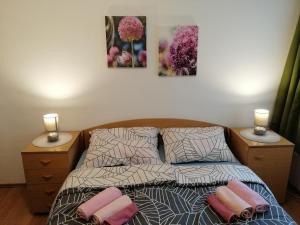 APARTMAN NENA