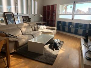 Estudio acogedor renfe