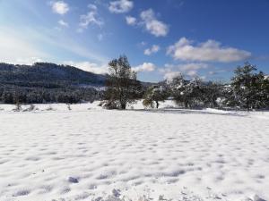 Maisons de vacances entre mer et montagne : photos des chambres